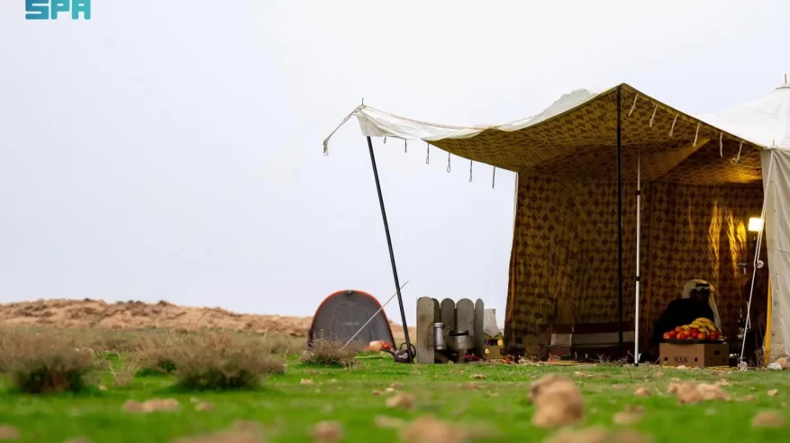 لوحات طبيعية مذهلة.. رصد مشاهد الربيع في المواقع البرية شرق رفحاء