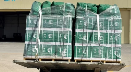وصول الطائرة الإغاثية السعودية الـ81 لإغاثة الشعب الفلسطيني في قطاع غزة