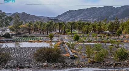 الأمطار تُنعش أجواء الباحة وتُعزز جاذبية المواقع السياحية في العيد