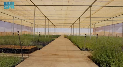 العُلا تنتج مليون شتلة محلية لاستعادة وحماية التنوع الحيوي في المحميات الطبيعية