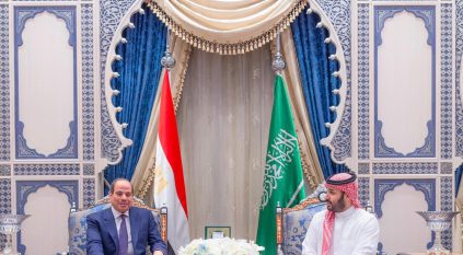 ولي العهد والرئيس المصري يبحثان تطورات الأوضاع الإقليمية