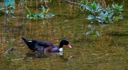 تدفّق المياه يُنعش وادي الحمدة بالباحة ويعزّز جاذبيته السياحة