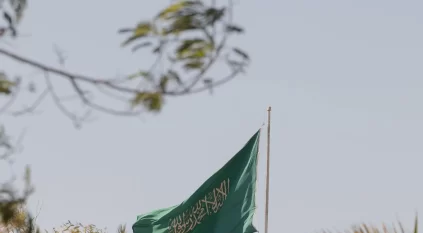 الشمالية تكتسي بالأخضر احتفاءً بـ يوم العلم