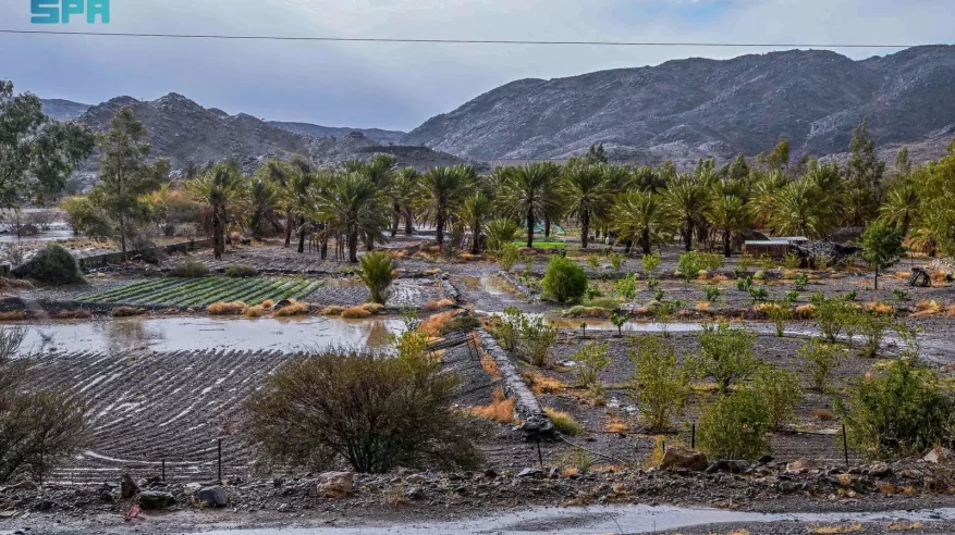 الأمطار تُنعش أجواء الباحة وتُعزز جاذبية المواقع السياحية في العيد