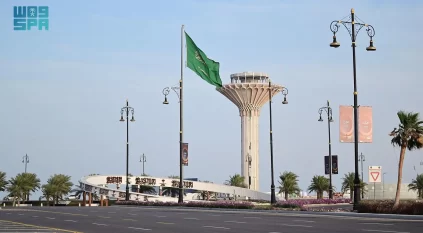 الشرقية تتزين باللون الأخضر احتفاءً بيوم العلم