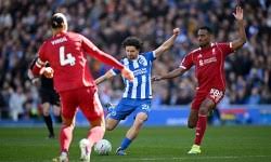 برايتون يفوز على ليفربول في الدوري الإنجليزي