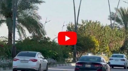 وطن محصن بالقوة والوعي