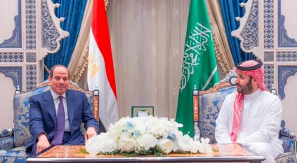 ولي العهد والرئيس المصري يبحثان تطورات الأوضاع الإقليمية