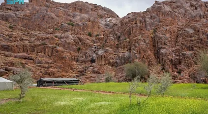 أجواء الربيع.. الأمطار تنعش الطلعات البرية في حائل وتزيد الإقبال على المخيمات