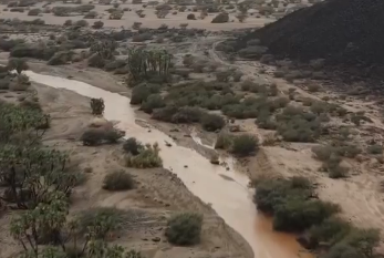 مشاهد بديعة لجريان وادي الفرع في المدينة المنورة