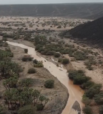 مشاهد بديعة لجريان وادي الفرع في المدينة المنورة