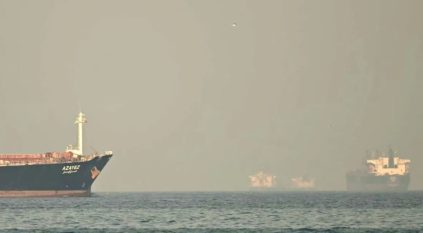 الهند تحتج على إطلاق قوات إيرانية النار على سفينتين بـ مضيق هرمز