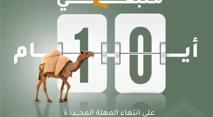 محمية الملك سلمان الملكية تمنح ملاك المواشي السائبة مهلة 10 أيام لإخراجها