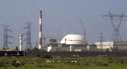 وكالة الطاقة الذرية: لا زيادة في مستويات إشعاع محطة بوشهر عقب هجوم قريب منها