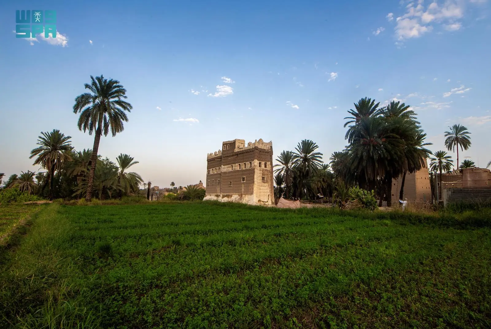 النخيل المُعمَّر بنجران إرث شامخ يروي حكاية الأرض والإنسان #نجران 