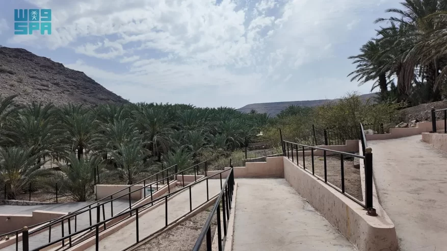 وادي عين النبي برهاط.. إرث تاريخي وطبيعة بكر تمتد لأكثر من 1400 عام