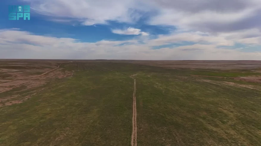 تنوّع بيئي وثروة حيوانية يعزّزان الحراك السياحي في الشمالية