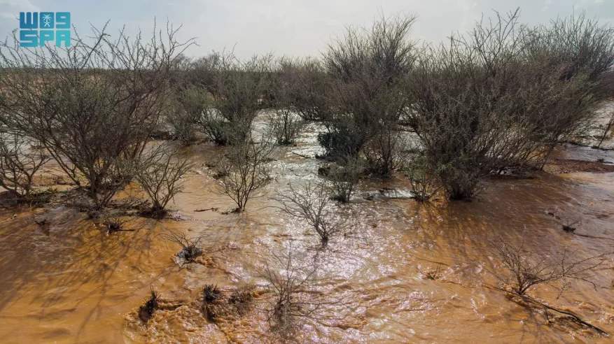 أمطار الطائف تنعش الأجواء وتروي الأرض