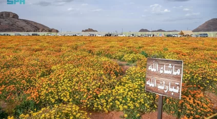 محمية توارن البرية بحائل.. تنوع طبيعي وإرث تاريخي يعززان سياحة المنطقة
