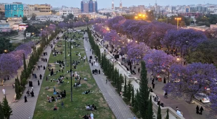 إقبال على مواقع الجاكرندا في أبها وسط أجواء ربيعية معتدلة