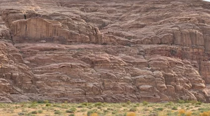 “النجيلة” فيضة ربيعية بمنطقة تبوك تجذب الأهالي والزوار