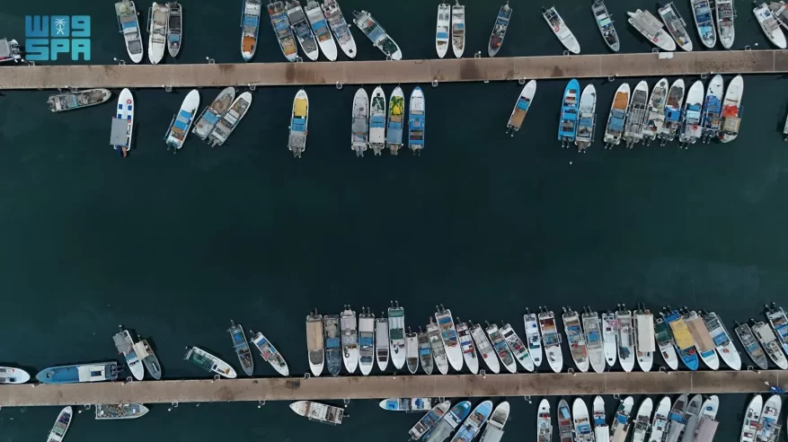 موسم “الكنّة” في جازان.. وفرة الأسماك تُنعش الأسواق وتُعزّز مهنة الصيد