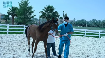 إنجاز دولي نوعي.. مختبر “وقاء” يحصد اعترافًا دوليًا من 33 دولة حول العالم