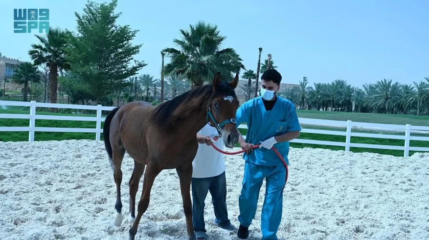 إنجاز دولي نوعي.. مختبر “وقاء” يحصد اعترافًا دوليًا من 33 دولة حول العالم