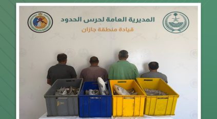 ضبط 4 مخالفين لممارستهم صيد الأسماك دون تصريح في جازان