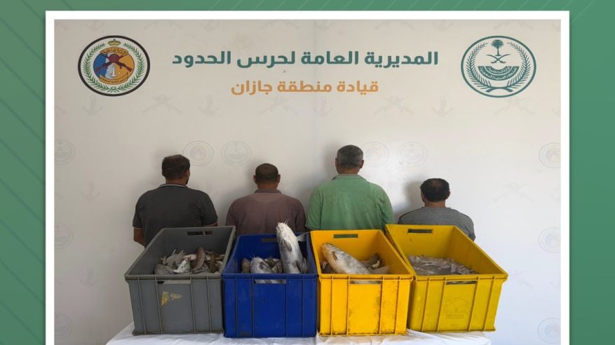 ضبط 4 مخالفين لممارستهم صيد الأسماك دون تصريح في جازان