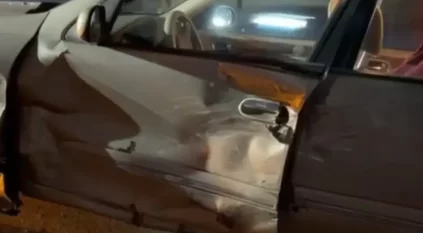 انقلاب سيارة الإعلامية بسمة وهبة وتفاصيل اللحظات الأخيرة قبل الحادث