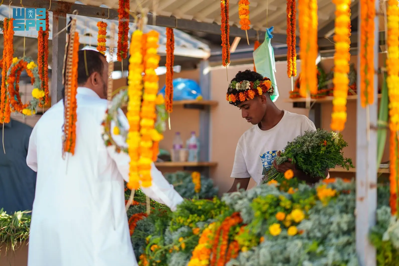 مدن الورد بجازان.. استثمار واعد يدعم التنمية المستدامة #جازان 