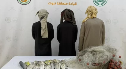 ضبط 3 مخالفين للائحة الأمن والسلامة للأنشطة البحرية في تبوك 