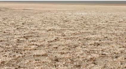 أمطار غزيرة مصحوبة بالبرد شرق طريف