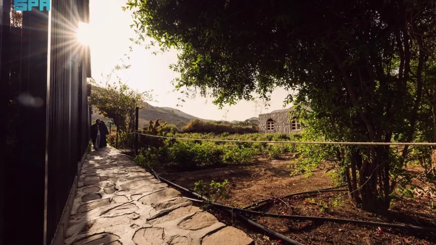 “ريف السعودية” يدعم قصة نجاح مزرعة نموذجية للورد الطائفي