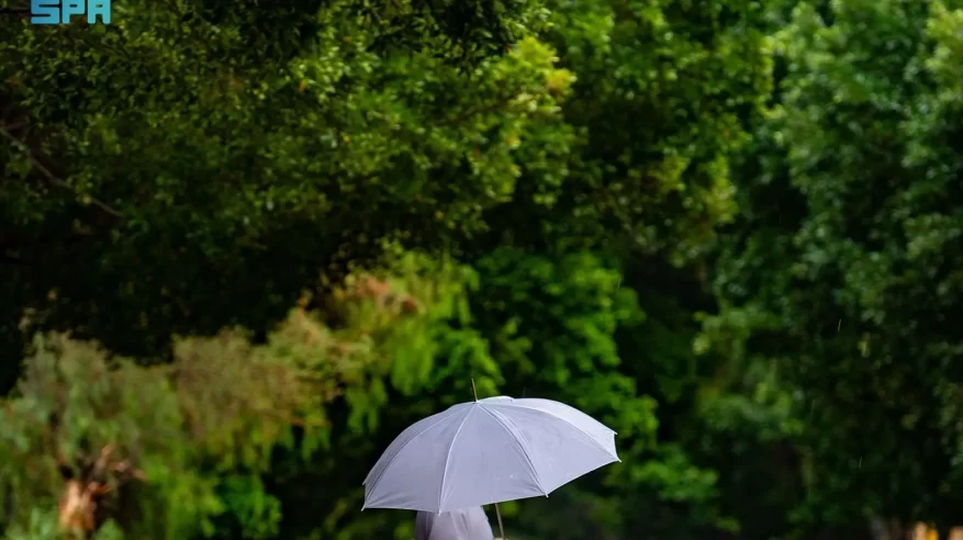 أجواء ممطرة تعمّ الطائف وتستقطب الأهالي والزوار