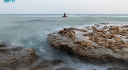 التكوينات الصخرية تشكّل تناغمًا بصريًا مبهرًا على سواحل الوجه