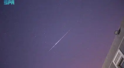 القيثاريات تزيّن سماء السعودية والوطن العربي في ذروة نشاطها