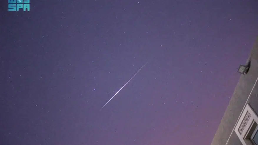 القيثاريات تزيّن سماء السعودية والوطن العربي في ذروة نشاطها