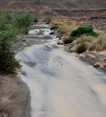 هطول أمطار الخير على تبوك