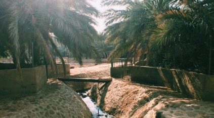 وادي عين النبي برهاط.. إرث تاريخي وطبيعة بكر تمتد لأكثر من 1400 عام