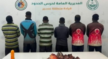 حرس الحدود يضبط 6 مخالفين لممارستهم الصيد دون تصريح بعسير