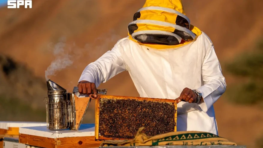 تنوع العُلا الطبيعي يعزّز إنتاج العسل عالي الجودة تزامنًا مع اليوم العالمي للنحل