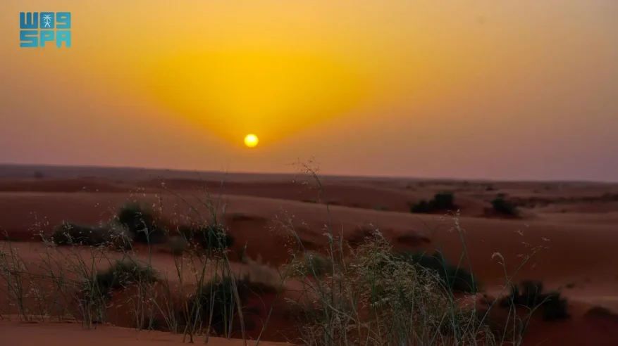 شمس المغيب تُعانق رمال النفود ونباتاته جنوب رفحاء