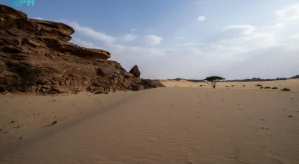 نجران ملتقى قوافل الحجاج المتجهين من الجنوب نحو الأراضي المقدسة