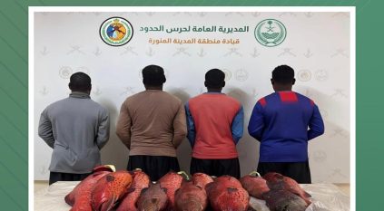 ضبط 4 مخالفين للائحة الأمن والسلامة لمزاولي الأنشطة البحرية في ينبع 