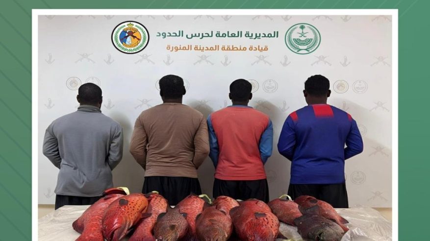 ضبط 4 مخالفين للائحة الأمن والسلامة لمزاولي الأنشطة البحرية في ينبع 
