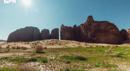 6 محميات طبيعية تصونها العُلا ضمن نطاقها البيئي