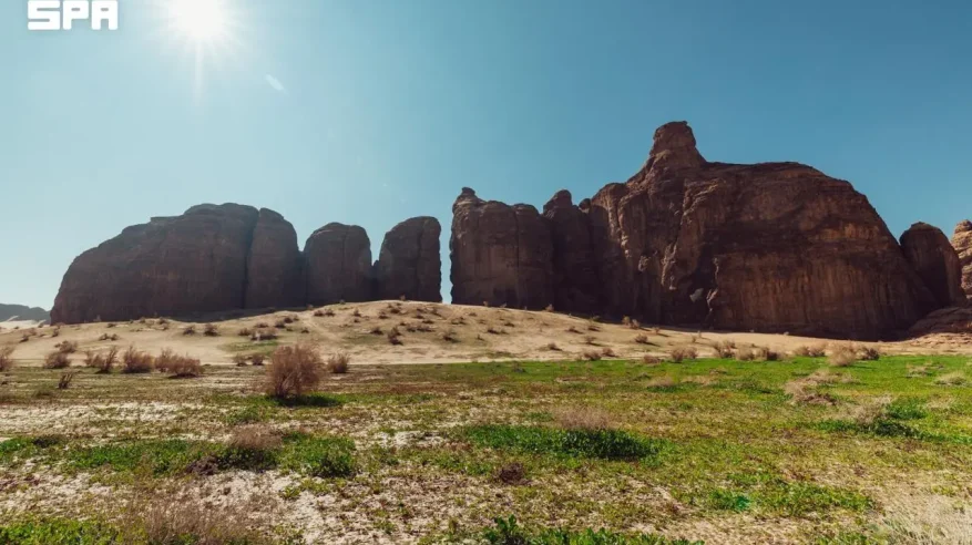6 محميات طبيعية تصونها العُلا ضمن نطاقها البيئي