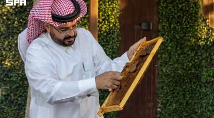 منتجو العسل في الجوف يبدؤون مواسم الإنتاج بعسل “الحمضيات”